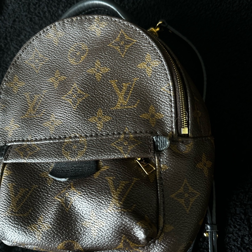 Louis Vuitton Palm Springs Mini Backpack Monogram Brown Leather Crossbody Bag - Picture 3 of 11